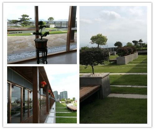 深圳市园林绿化公司